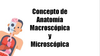 Concepto de Anatomía Macroscópica y Microscópica  Etimología Disciplinas y ejemplos [upl. by Filahk]