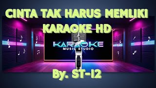 CINTA TAK HARUS MEMILIKI KARAOKE HD [upl. by Novar]