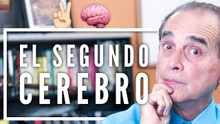 Episodio 1570 El Segundo Cerebro [upl. by Ahsram146]