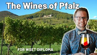 Exploring Germanys Pfalz Wines for WSET Diploma [upl. by Naval]