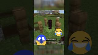 Minecraft fences logic☠️💀 minecraft [upl. by Towroy]