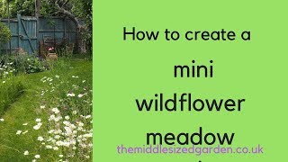 How to create a mini meadow in your garden [upl. by Royd]