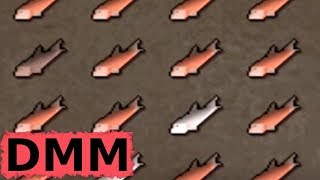 DMM Safe Fishing and Cooking EXP  Osrs Early Game Deadman Mode  Old School Runescape [upl. by Roderigo658]