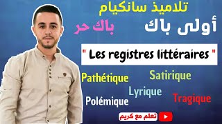 Les registres littéraires أحسن تقديم لدرس [upl. by Haneehs]