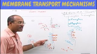 Cell Membrane Transport  Plasma Membrane Transport  Cell Biology🩸 [upl. by Aerdnaz]