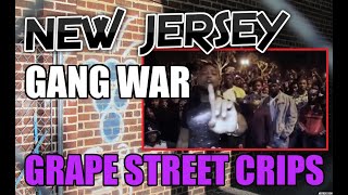 Newark Gang War  Grape Street Crips  The Story Of C Blaze Corey Hamlet  New Jersey Indictment [upl. by Sato28]