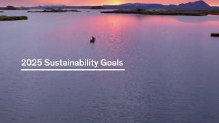 Dow 2025 Sustainability Goals Introduction [upl. by Risteau]