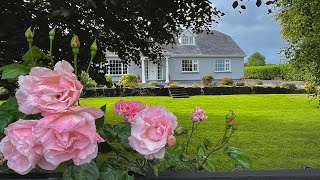 House for Sale Firies Co Kerry Ireland [upl. by Ellenuahs]