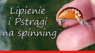 Wędkarstwo Lipienie i Pstrągi na spinning [upl. by Jobyna488]