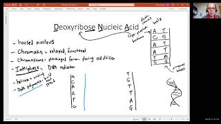 Biology 2010 Chapter 3 Cellular Level of Organization Protein Synthesis part 1 video 6 [upl. by Adrahc]