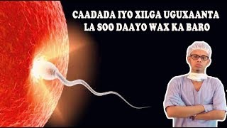 DHIIGA CAADADA IYO XILGA UGAXAANTA LA SOO DAAYO WAX KA BARO Dr faris [upl. by Armmat934]