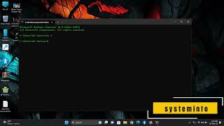 systeminfo [upl. by Rednasyl]