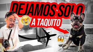 🚫NO dejan VOLAR a TAQUITO 🛫¿Lo dejamos SOLO 😳  ABELITO [upl. by Zohara]