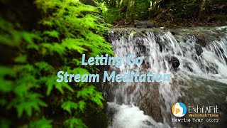 🌿 Letting Go Stream 🌿 [upl. by Maffei]