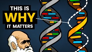 DNA vs RNA  Differences in Form and Function  Stated Clearly [upl. by Liscomb]