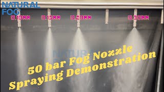 Natural Fog 50bar 725psi Mist Fog Nozzle Actual Spraying Effect of Orifice Sizes 010mm to 030mm [upl. by Badger]