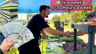 Master Microgreens Farmer PROVES How to Make Money Growing Microgreens Business at Farmers Market [upl. by Nalyk617]