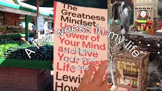 A Week In My LifeMichigans CaribbeanGreatness Mindset [upl. by Kuehn]