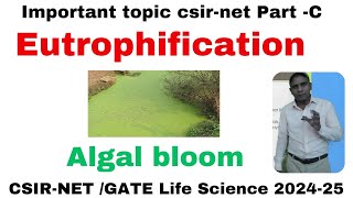 Eutrophication csirnet l Algal bloom for csirnet life Science l Important topic for csirnet l [upl. by Bonne]