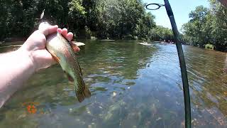 Summer Rainbow Trout Fishing Missouri Niangua River fishing trout troutfishing rainbowtrout [upl. by Laurentia]