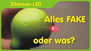 Ist eine ZitronenEinzelzelle für eine LED geeignet  Reaktion auf Fakevideo [upl. by Longfellow]