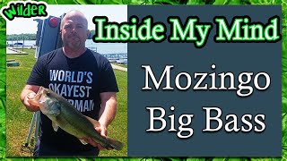 Mozingo Bass Fishing [upl. by Eimirej157]