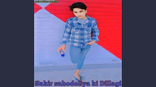 Sakir sahodoliya ki Dillagi [upl. by Lizzy]