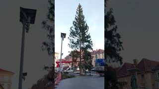 Graz Christbaum [upl. by Nolyd]