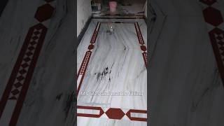 marble border design marble floor design tiles marble granite shoaib viral India top Mistri [upl. by Annairda]