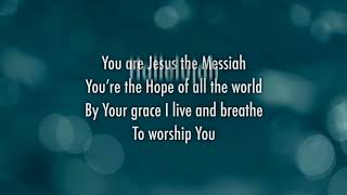 Darlene Zschech  Victors Crown Official Lyric Video [upl. by Anuaek]