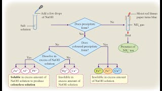 Chemistry KSSM Form 4 Chapter 6  cation and anion test [upl. by Clari]