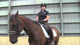 Fiber Fresh Feeds Equine TV EP 31  Avoiding your horse pulling the reins out of your hands [upl. by Kirsch]