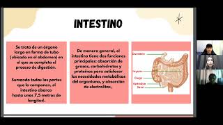 Síndrome del intestino corto [upl. by Lilybel]