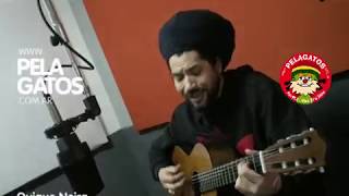 Quique Neira  Redemption Song  Bob Marley  Reggae en PelaGatos [upl. by Fanya]