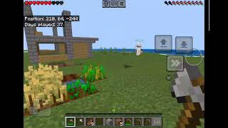 Playing Minecraft with shigi [upl. by Yelats]