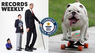 Tallest Meets Shortest and Skateboarding Bulldogs  Records Weekly  Guinness World Records [upl. by Nylesoj]