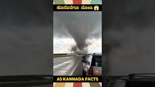 Fish Rain Amazing Fact Video  kannada facts karnataka amazing youtubeshorts trendingshorts [upl. by Katt]