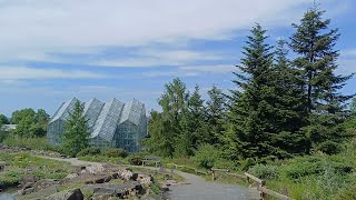 Botanischer Garten der Universität Osnabrück 15052024 [upl. by Blodgett]