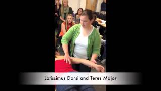 Manual Muscle Test for Latissimus Dorsi and Teres Major [upl. by Santa]