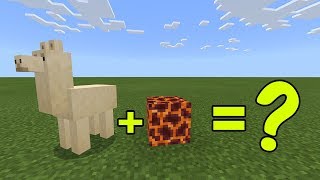 I Combined a Llama and a Magma Block in Minecraft  Heres What Happened [upl. by Atiuqat]