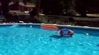 SPLIT TAIL HAWK FLEW OVER SWIMMING POOL [upl. by Hollington]