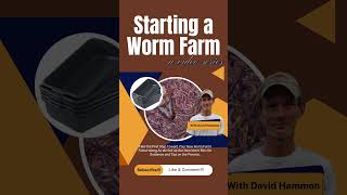 Starting a Worm Farm [upl. by Casar]