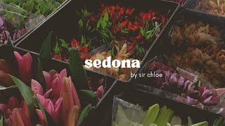 sedona  sir chloe short cover [upl. by Demetri47]