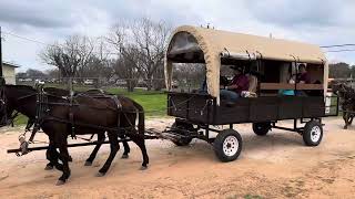 South Texas Trail Riders 65th Annual Trail Ride from Corpus Christi to San Antonio Feb 1  10 2024 [upl. by Schnurr]