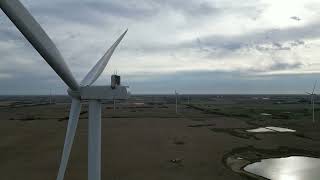 Shty Views and Curly Hair Ugly Wind Farm near Vermilion AB [upl. by Ialohcin]