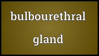 Bulbourethral gland Meaning [upl. by Persson]