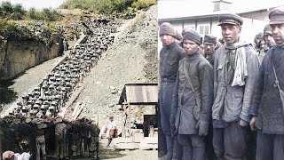 The Brutal Torture Of The Stairs Of Death Of Mauthausen [upl. by Mchail61]