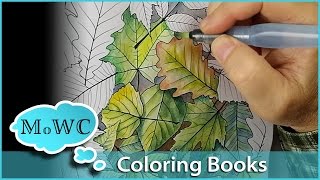 Coloring with Watercolor in Adult Coloring Books [upl. by Roshan508]