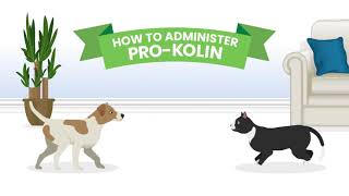 How to give ProKolin to your pet [upl. by Brent]