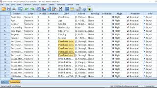 Likert scale reliability improvement through reverse coding [upl. by Cornell]